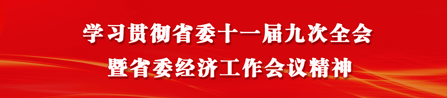 学习贯彻省委十一届九次全会暨省委经济工作会议精神